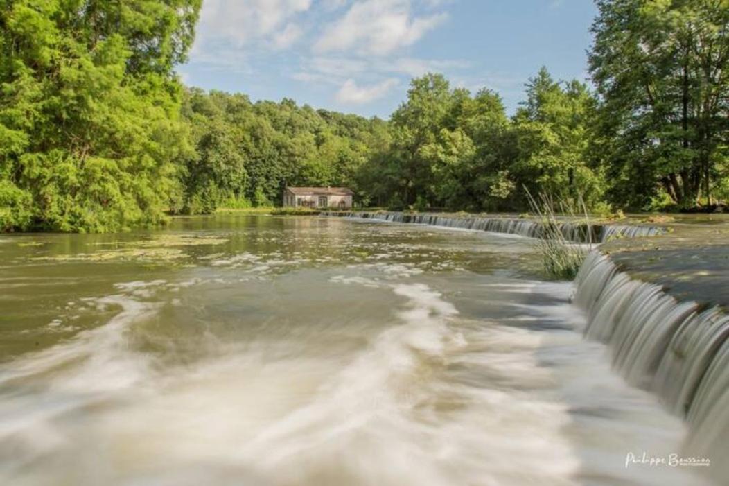 Chateau Des Loups - Les Cedres Bleus Echire Экстерьер фото