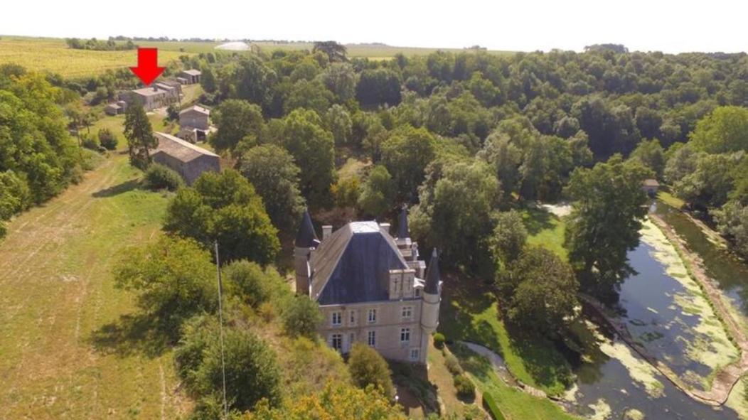 Chateau Des Loups - Les Cedres Bleus Echire Экстерьер фото